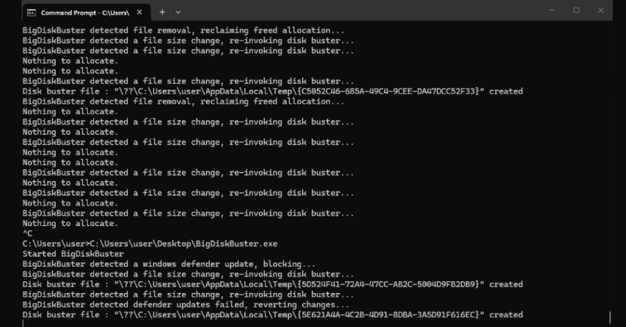Consola de Windows ejecutando BigDiskBuster